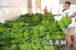 怎么辨别泡了药水的车厘子,怎么辨别泡了药水的车厘子