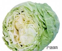 甘蓝是不是大头菜,甘蓝和大头菜是一种菜