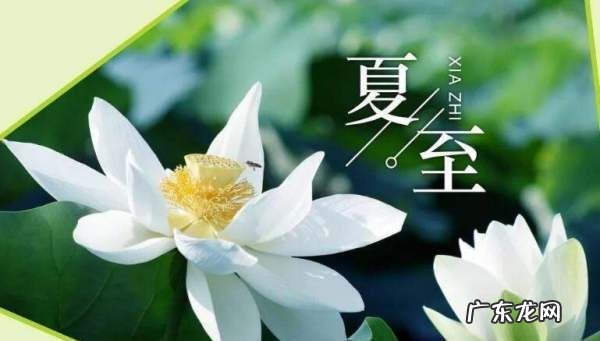 夏天的太阳有什么特点,每个季节的太阳是什么颜色说明理由手抄报