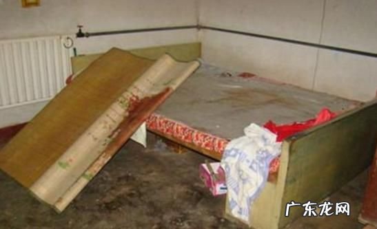 屋子里面尸臭怎么去除,车的臭味怎么除去
