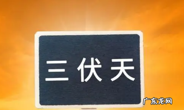 什么时候初伏天开始,三伏天初伏从什么时候开始