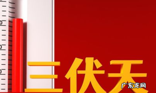 什么时候初伏天开始,三伏天初伏从什么时候开始