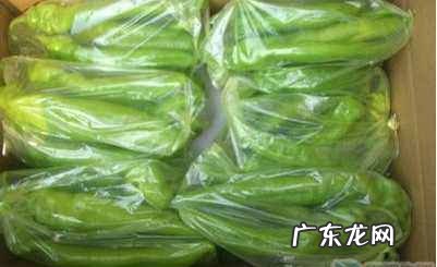 没冰箱怎么保存隔夜菜,没有冰箱怎么保存菜