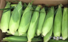 玉米棒怎么保存,新鲜的玉米棒怎么保存 新鲜的玉米棒如何保存