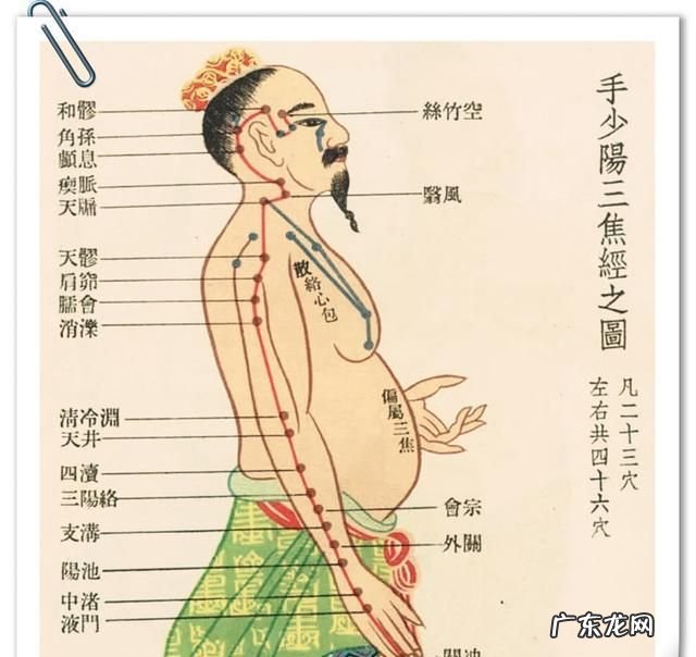 三交经是什么,三焦经是什么意思和作用