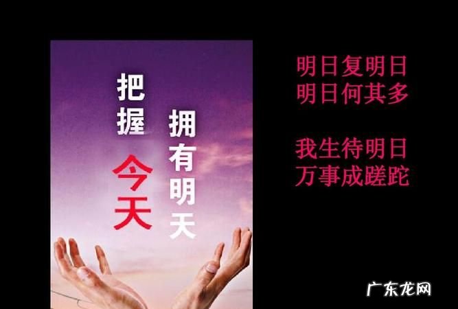 同心协力万事成是什么生肖,同心协力指什么生肖动物