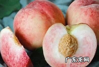 如何提高桃子的硬度,桃树喷施化肥能增加桃子的硬度