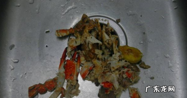 螃蟹壳是哪类垃圾,蟹壳属于什么垃圾