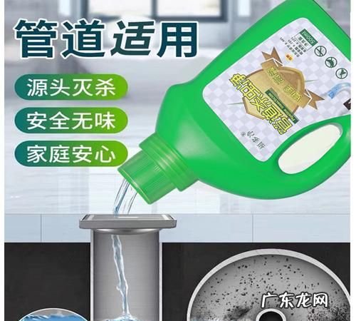 如何防止下水道爬蟑螂,怎样防止蟑螂从下水道进来