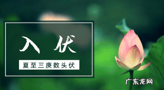 三伏天头伏是什么意思,头伏是怎样计算出来的