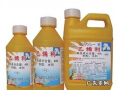香蕉催熟剂对人体有害,香蕉用的催熟剂对人体有害