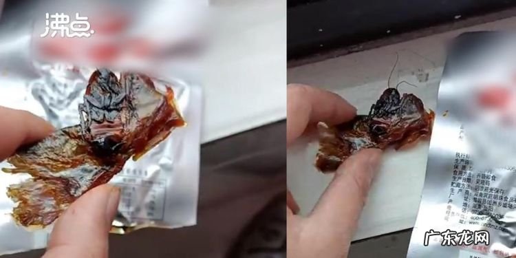 蟑螂吃过的东西还能吃,蟑螂咬后涂抹什么药