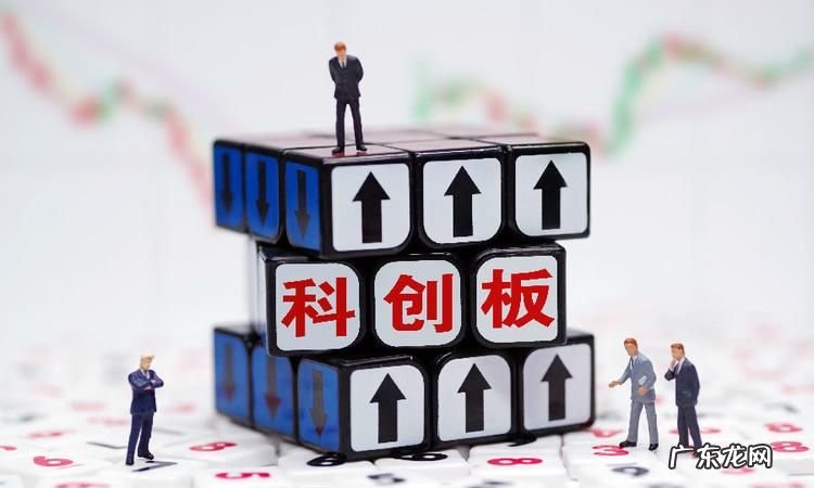 科创板行情在哪看,怎么查看所有中小板的股票