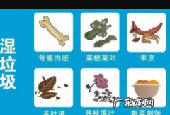 剩饭剩菜是可回收垃圾,剩饭剩菜属于什么垃圾