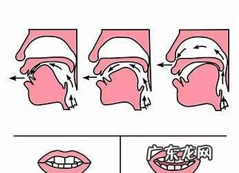 怎么区分前后鼻音,怎么分辨前鼻音和后鼻音的妙招