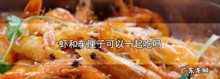 虾和樱桃间隔多久能吃,车厘子和黄瓜间隔多久能吃