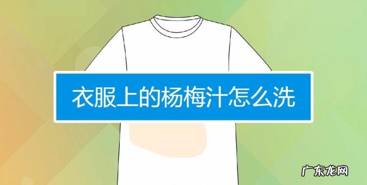 衣服上弄到了杨梅汁怎么办,衣服上弄了芒果汁怎么去除掉