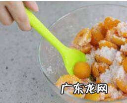 做杏干为什么要煮一下,杏子干的做法