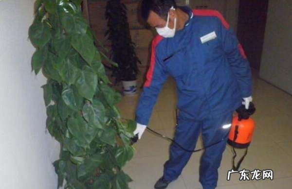 蟑螂药对人有害,蟑螂药对人有害小小孩吃上怎么办