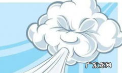 6级风是什么概念,8级风力是什么概念