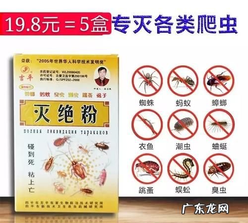 蟑螂药有毒吗,喷蟑螂的药对人有害