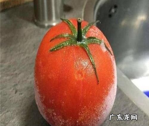 西红柿放冰箱还是放外面,西红柿放冰箱还是放外面