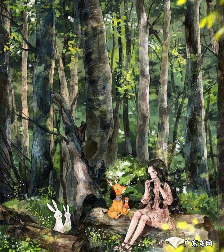 关于森林爱情的句子,描写森林的唯美句子 短