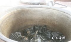 蒸锅煮粽子需要多长时间,大蒸锅煮粽子多长时间