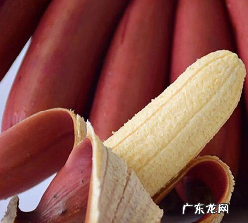 香蕉的中间的芯是红色,香蕉里面有红点能吃