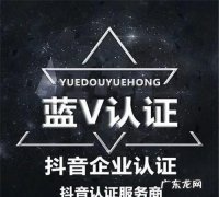 抖音蓝v和黄v的区别,蓝v和黄v红v的区别