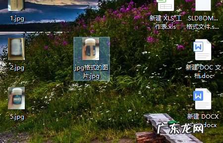 jpg文件如何变小,jpg格式调整kb大小