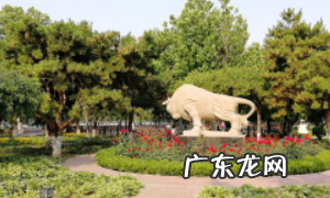 jpg文件如何变小,jpg格式调整kb大小