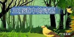 三衢道中是春天,三衢道中是春季还是夏季的景色