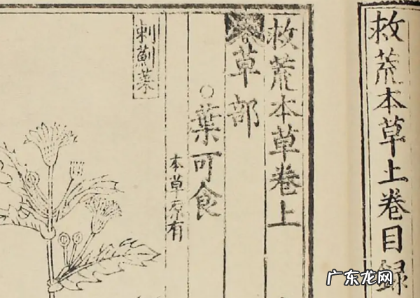 救荒本草是什么朝代编著的,救荒本草的作者是哪个朝代的人