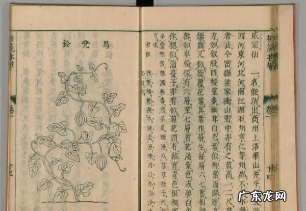 救荒本草是什么朝代编著的,救荒本草的作者是哪个朝代的人