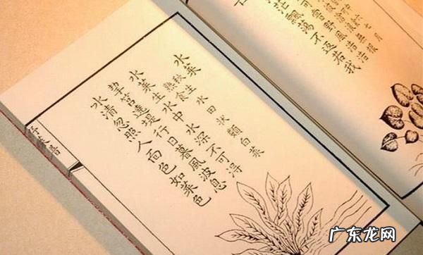 救荒本草是什么朝代编著的,救荒本草的作者是哪个朝代的人
