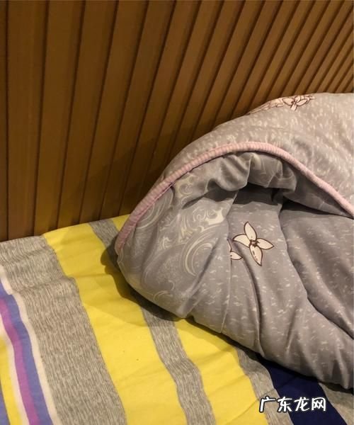 蟑螂爬过的被子能睡么,被蟑螂爬过的被子还能盖