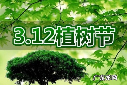植树造林的好处5个,植树造林的好处是什么