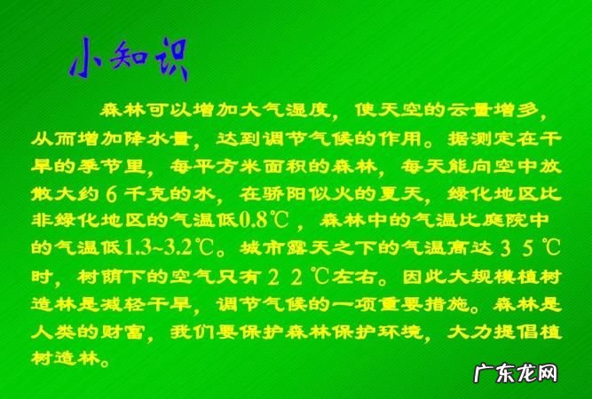 植树造林的好处5个,植树造林的好处是什么