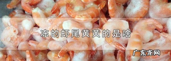 虾尾里面黄东西是什么,可以吃吗,虾尾里面的黄东西能吃