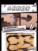 怎样去墙缝里的蚂蚁窝,怎样去墙缝里的蚂蚁窝