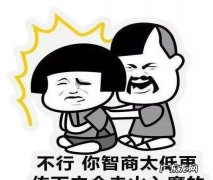智商有点感人是什么意思,智商感人什么意思