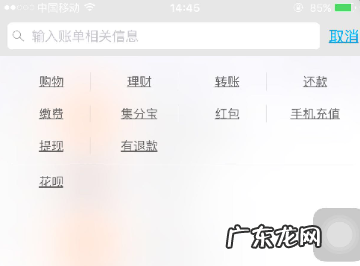 支付宝月账单哪里看,苹果手机支付宝月账单怎么查