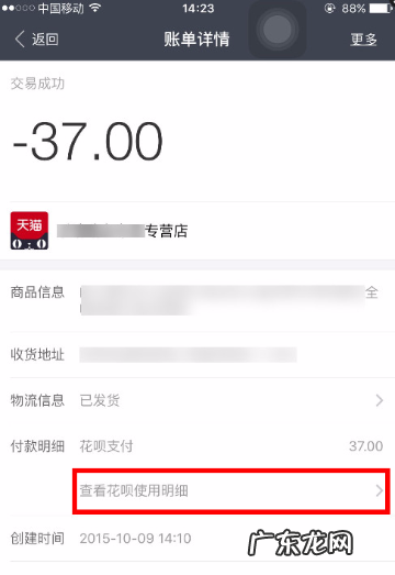 支付宝月账单哪里看,苹果手机支付宝月账单怎么查