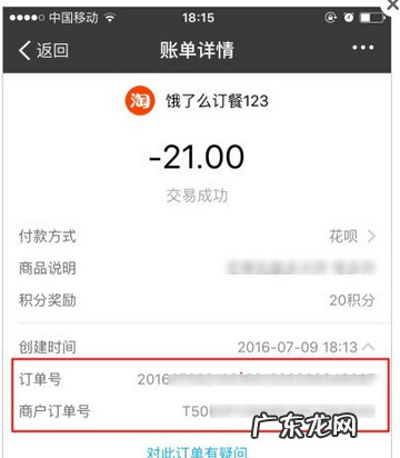 支付宝月账单哪里看,苹果手机支付宝月账单怎么查
