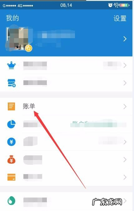 支付宝月账单哪里看,苹果手机支付宝月账单怎么查