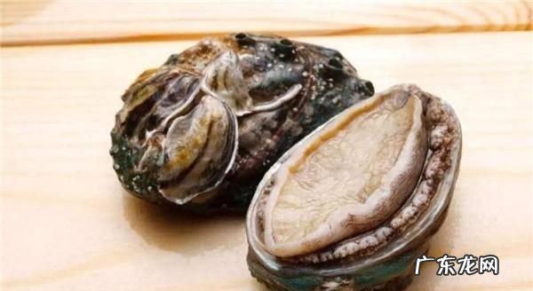 怎么判断鲍鱼死了多久,怎么判断鲍鱼是不是变质 判断鲍鱼变质的方法