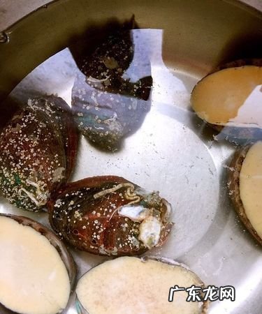 怎么判断鲍鱼死了多久,怎么判断鲍鱼是不是变质 判断鲍鱼变质的方法