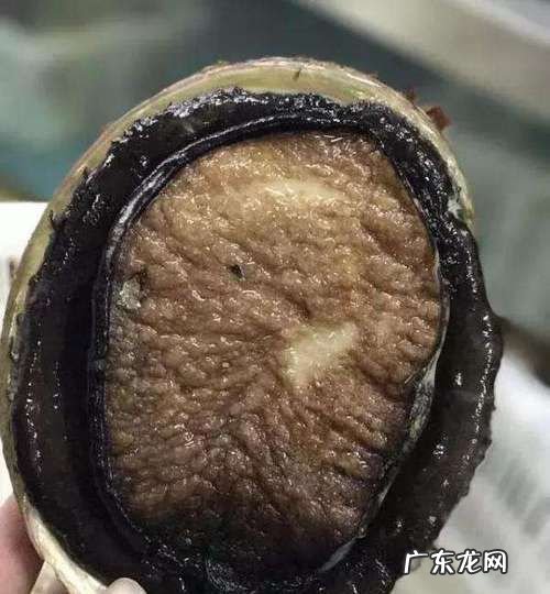 怎么判断鲍鱼死了多久,怎么判断鲍鱼是不是变质 判断鲍鱼变质的方法