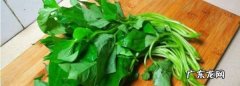 红薯叶子能吃吗？,水养红薯长出的叶子是紫色的叶子能吃